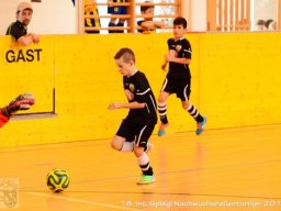 mini-Schlins-U9-Spiegl-DSC_1440